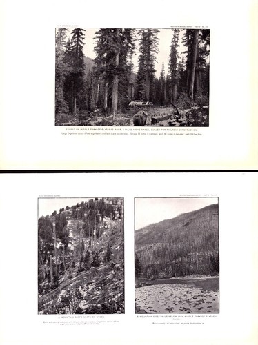 Item middle fork - item, fork,