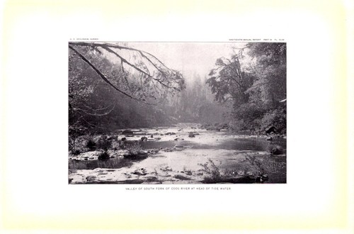 South fork coos river - fork,, head